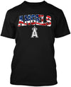 Los Angeles Baseball Stars and Stripes