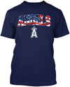 Los Angeles Baseball Stars and Stripes